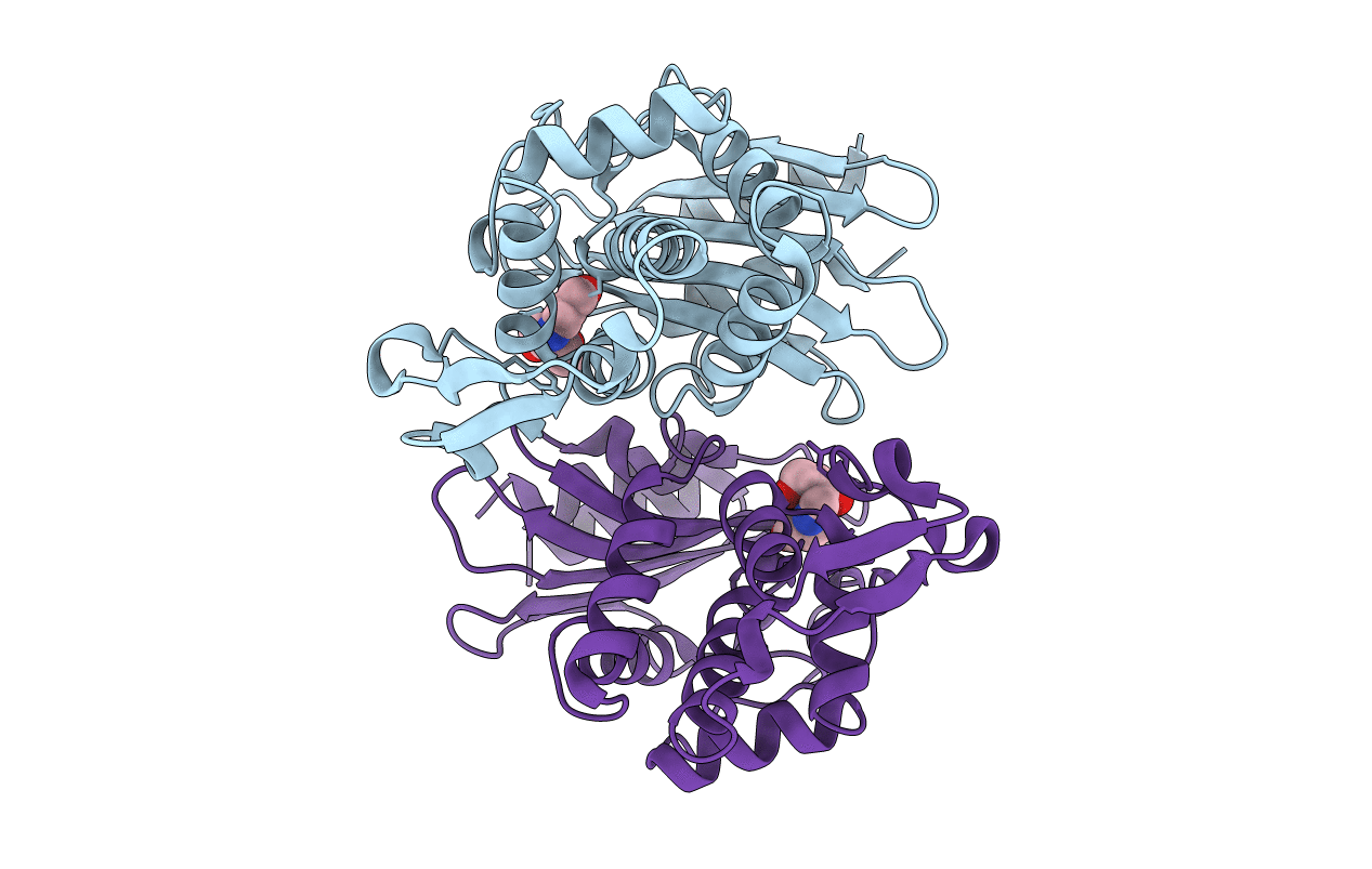6J2O image