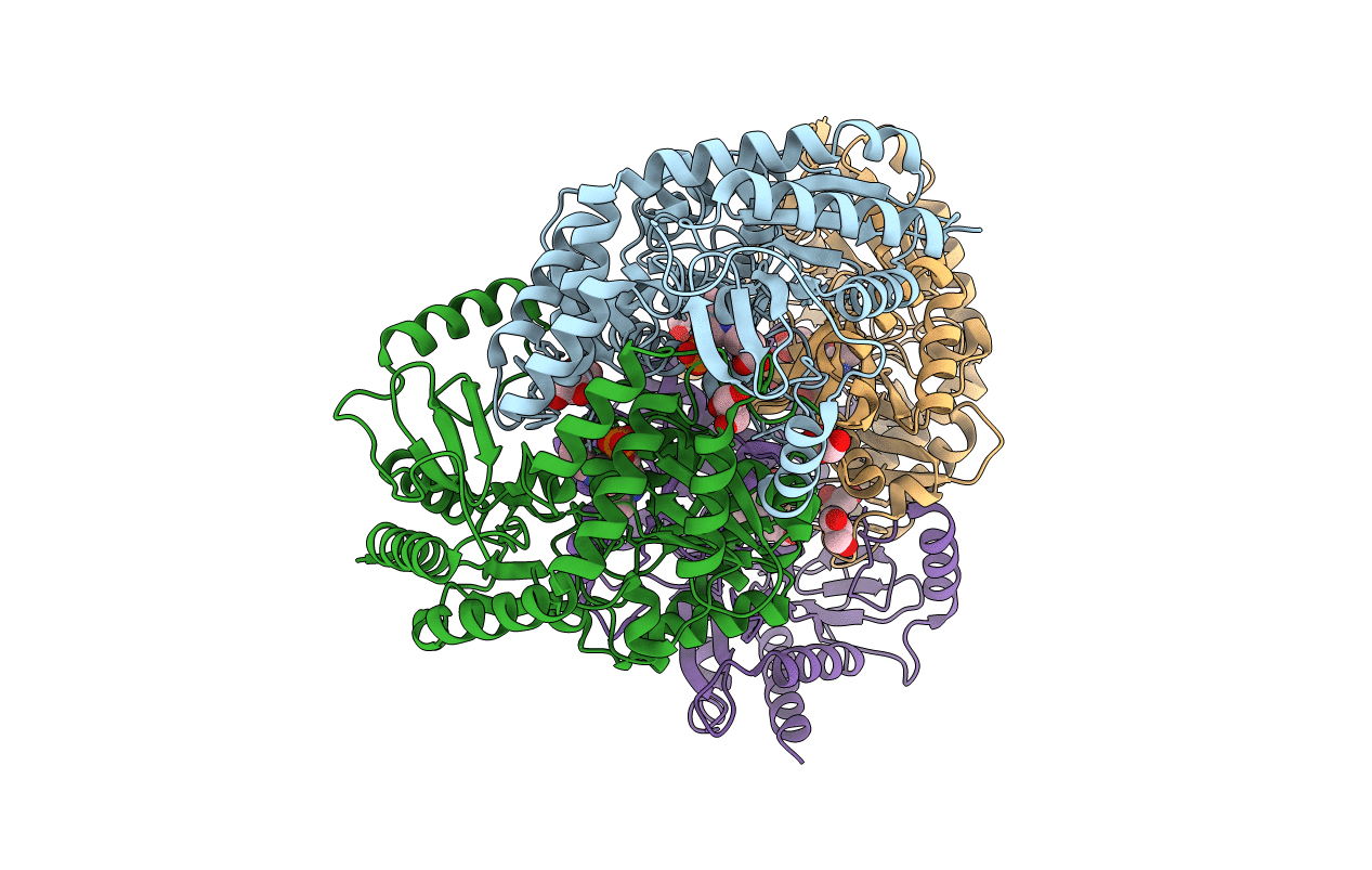 6J2V image