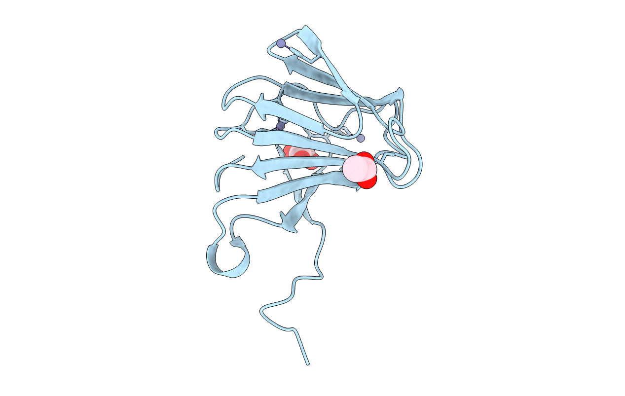 6J4C image
