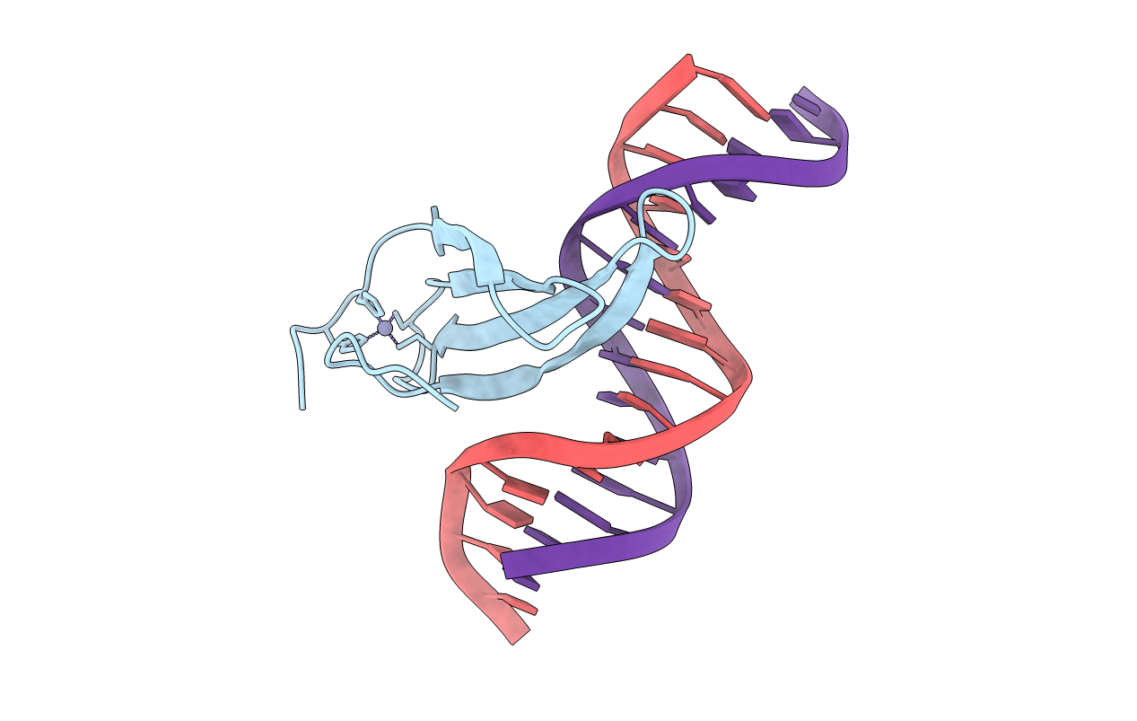 6J4E image