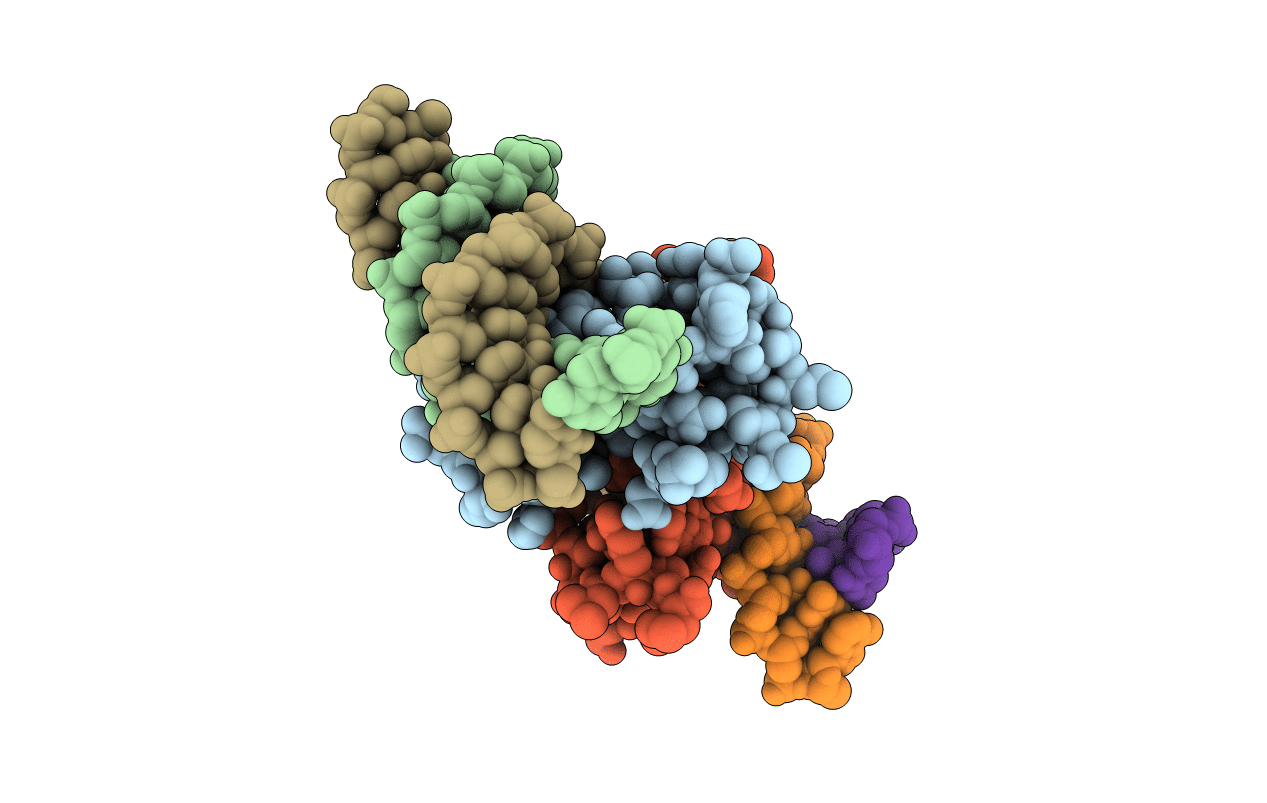 6J4F image