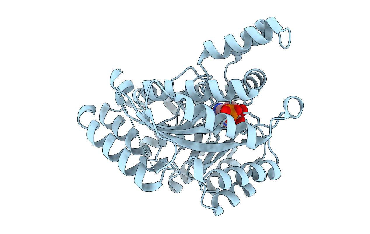6J4T image
