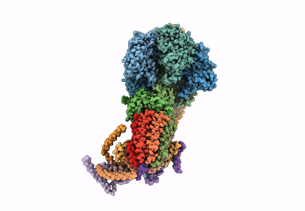 6J5I image