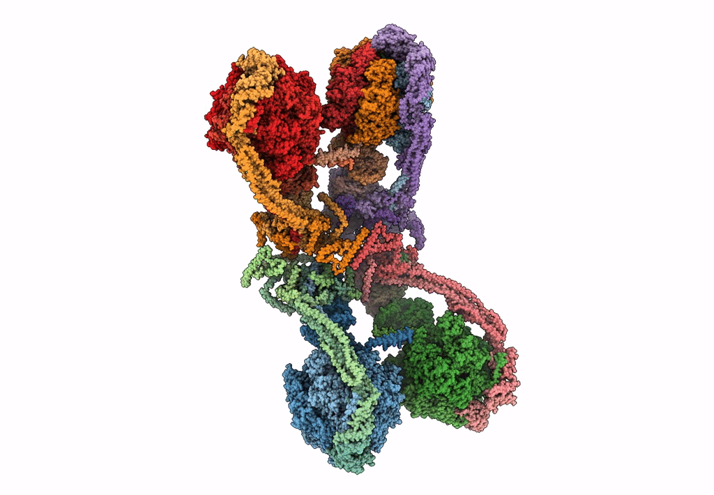6J5K image
