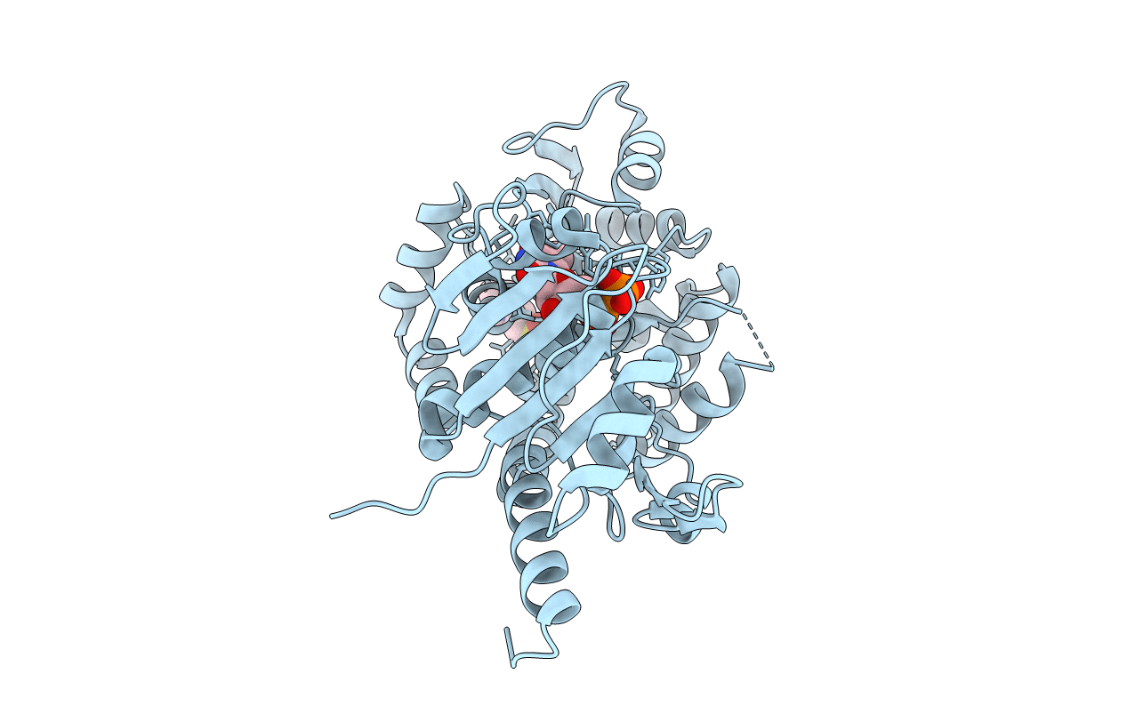 6J7L image