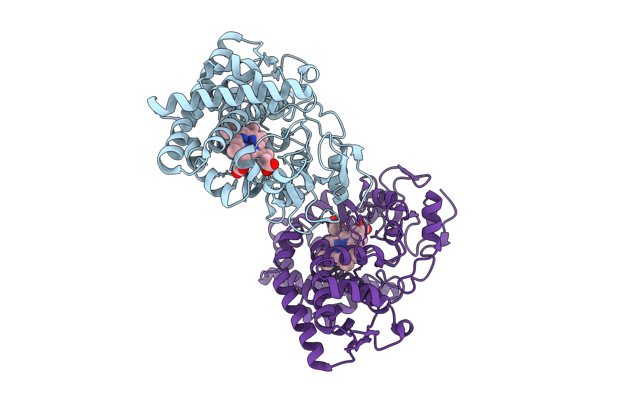 6J85 image