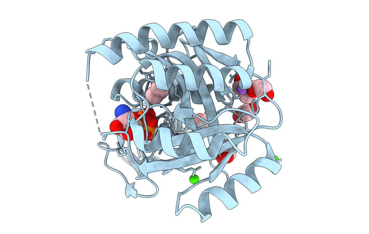 6JBD image