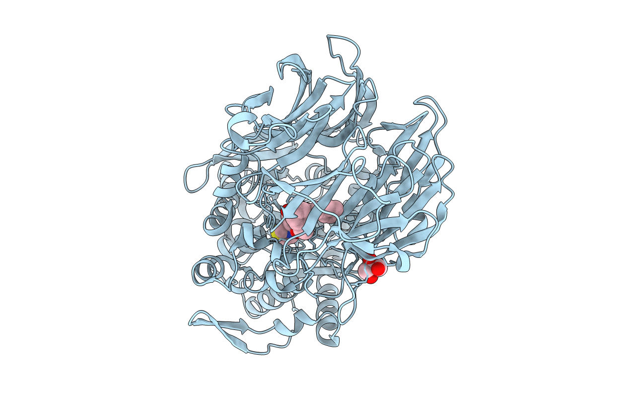 6JCI image