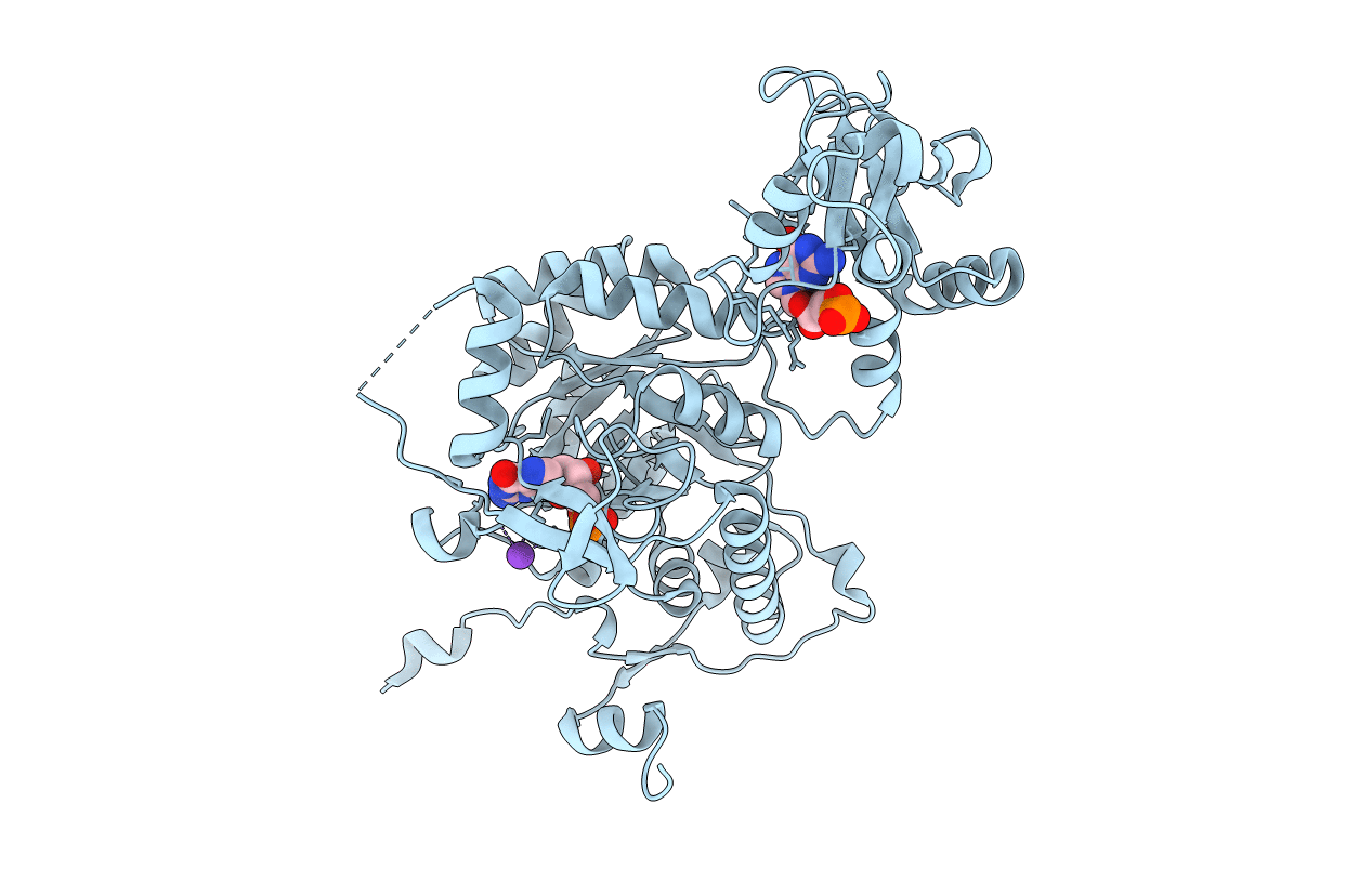 6JIG image