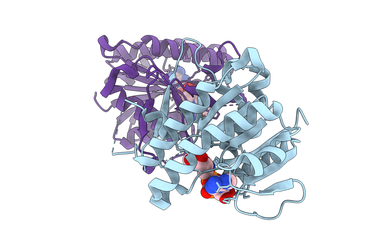 6JKH image