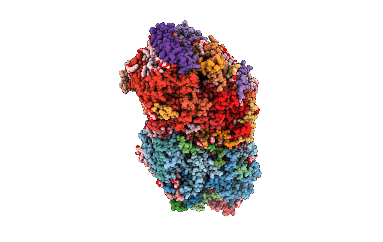 6JLP image