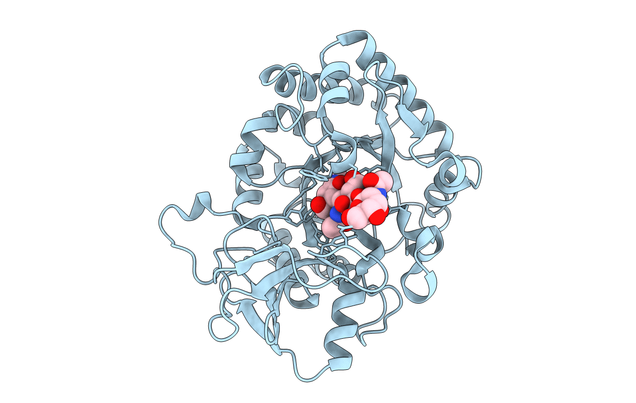 6JMB image