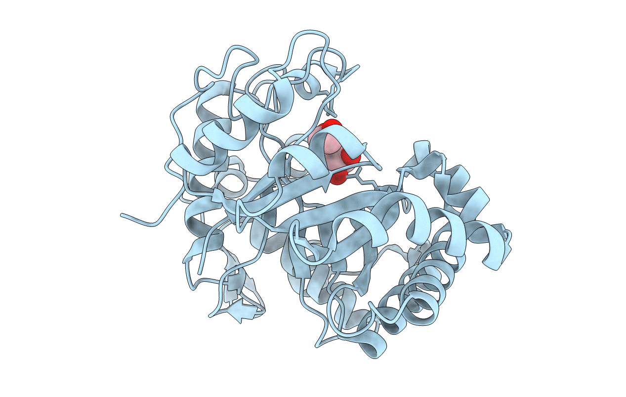 6JMS image