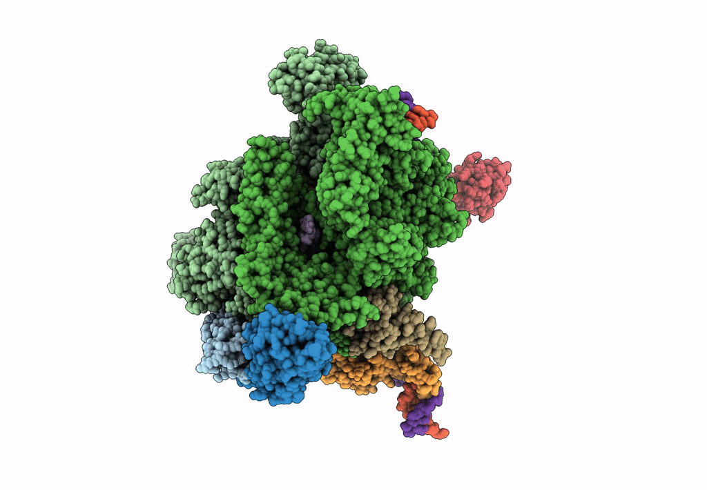 6JNX image