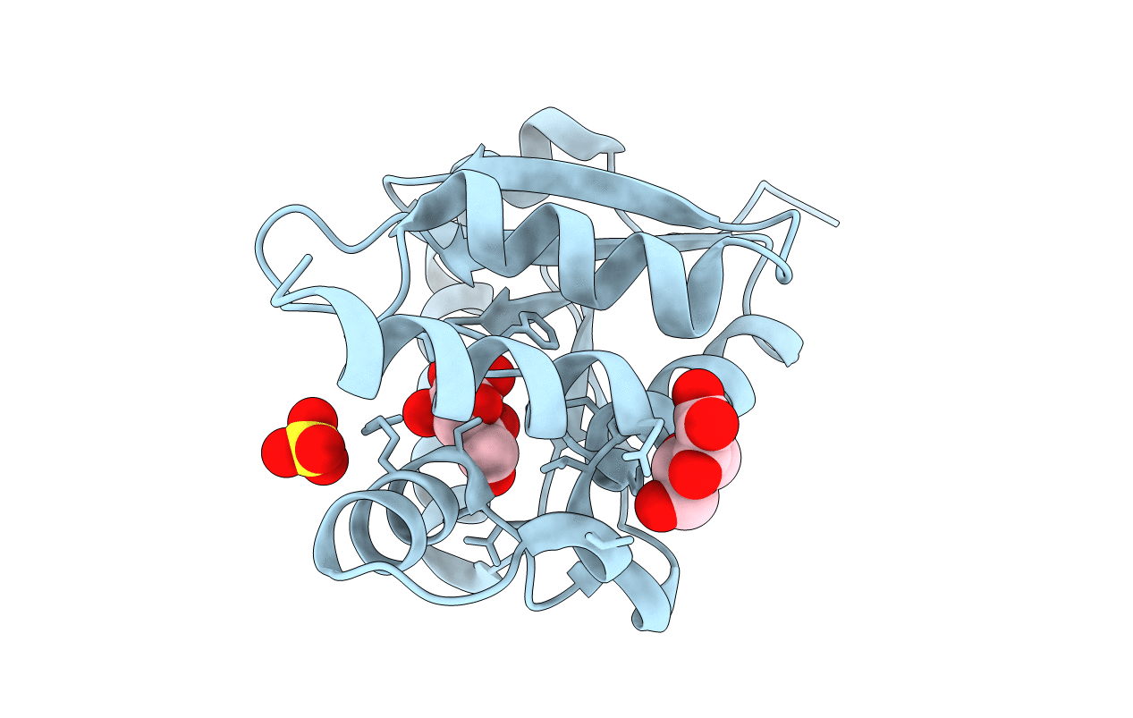 6JOG image