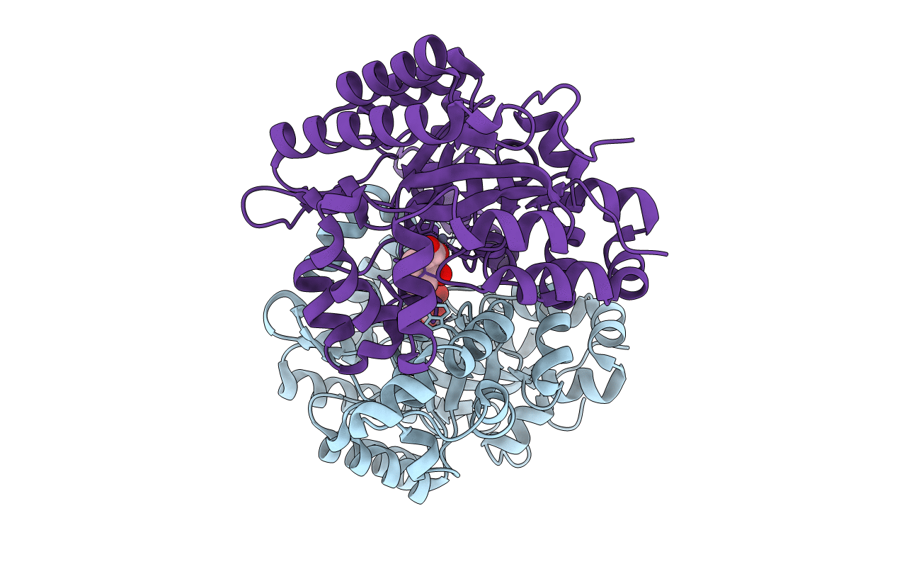 6JQX image