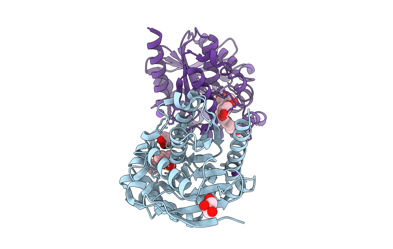 6JRA image