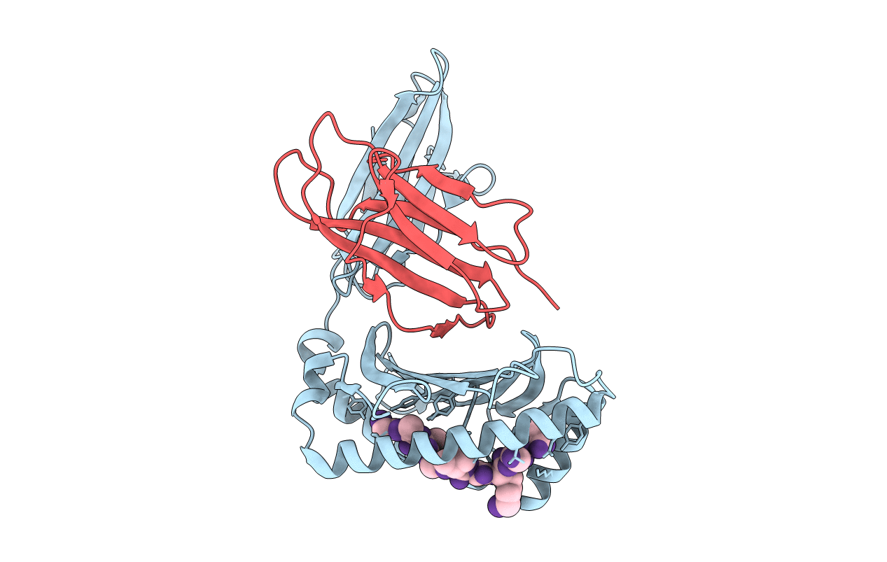 6JTP image