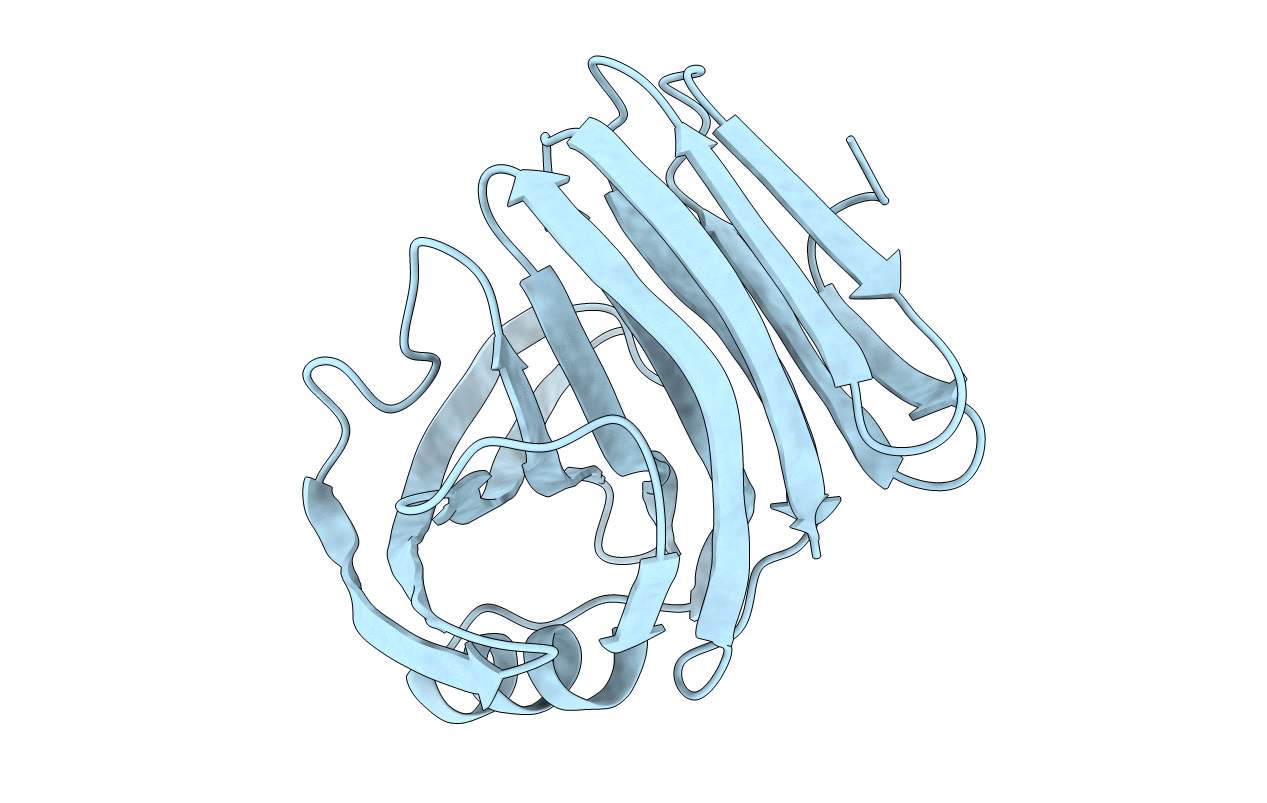 6JUG image