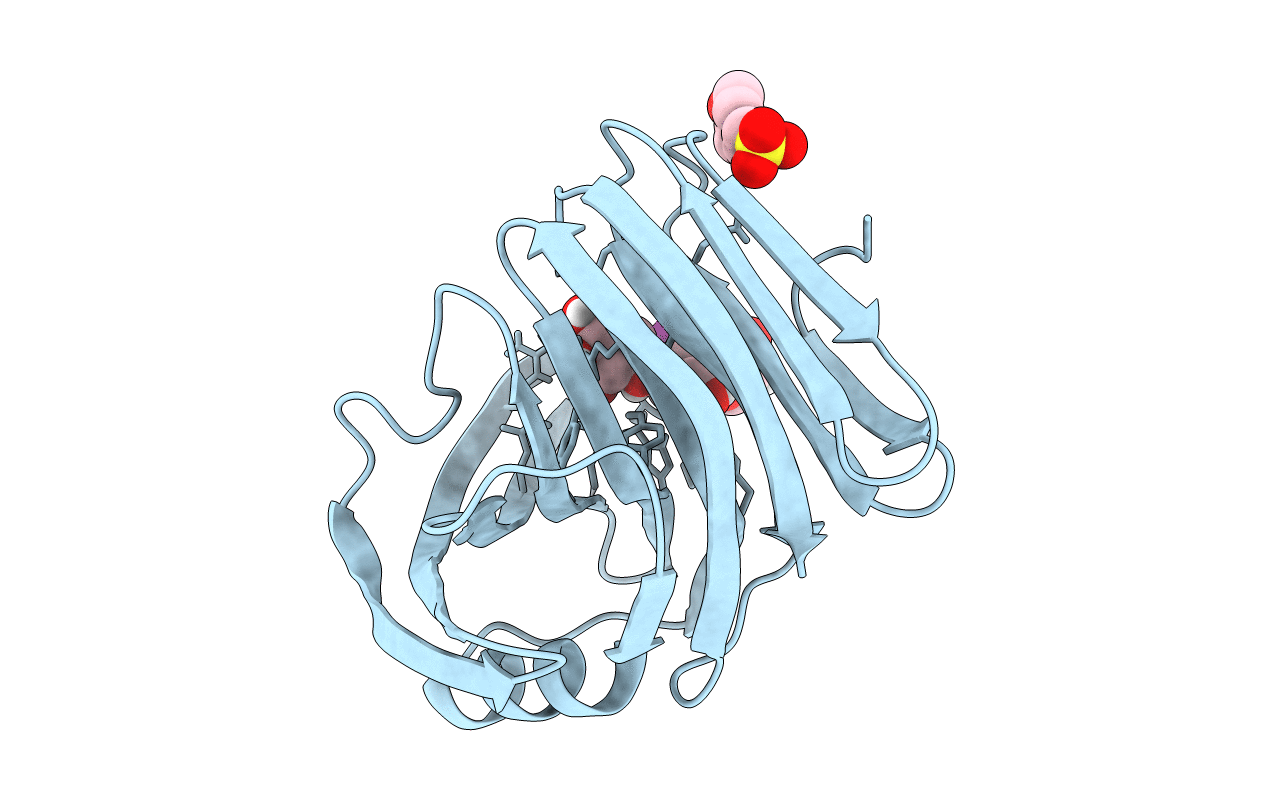6JWB image