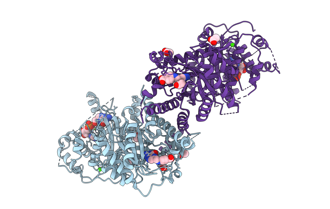6JWR image