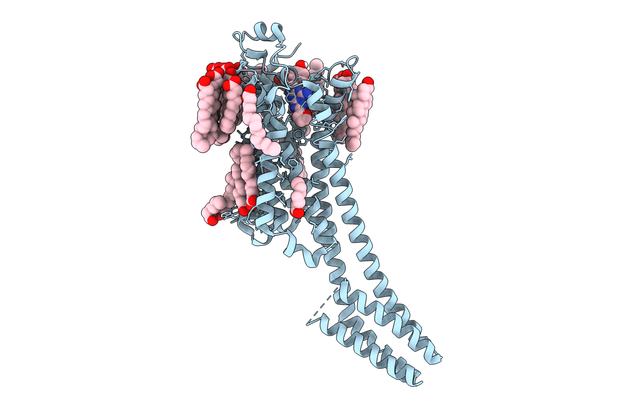6JZH image