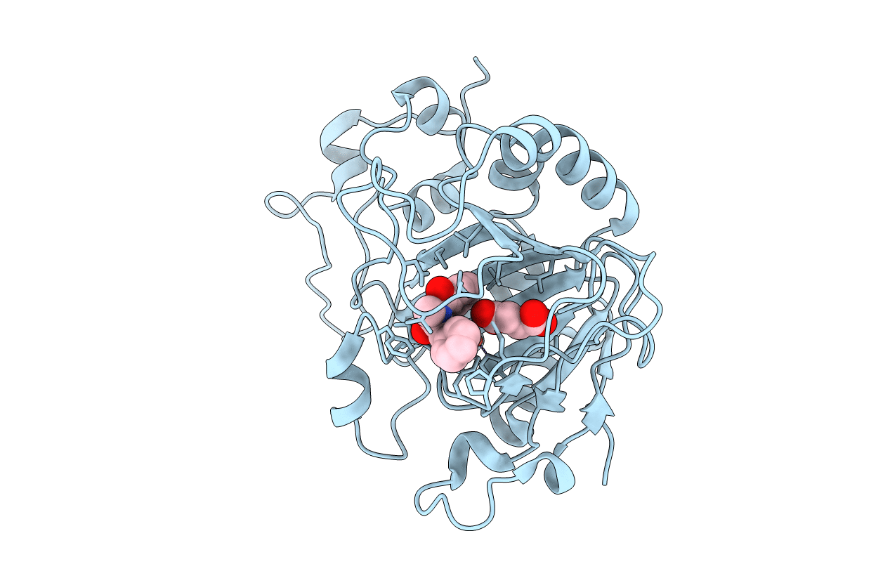 6JZM image
