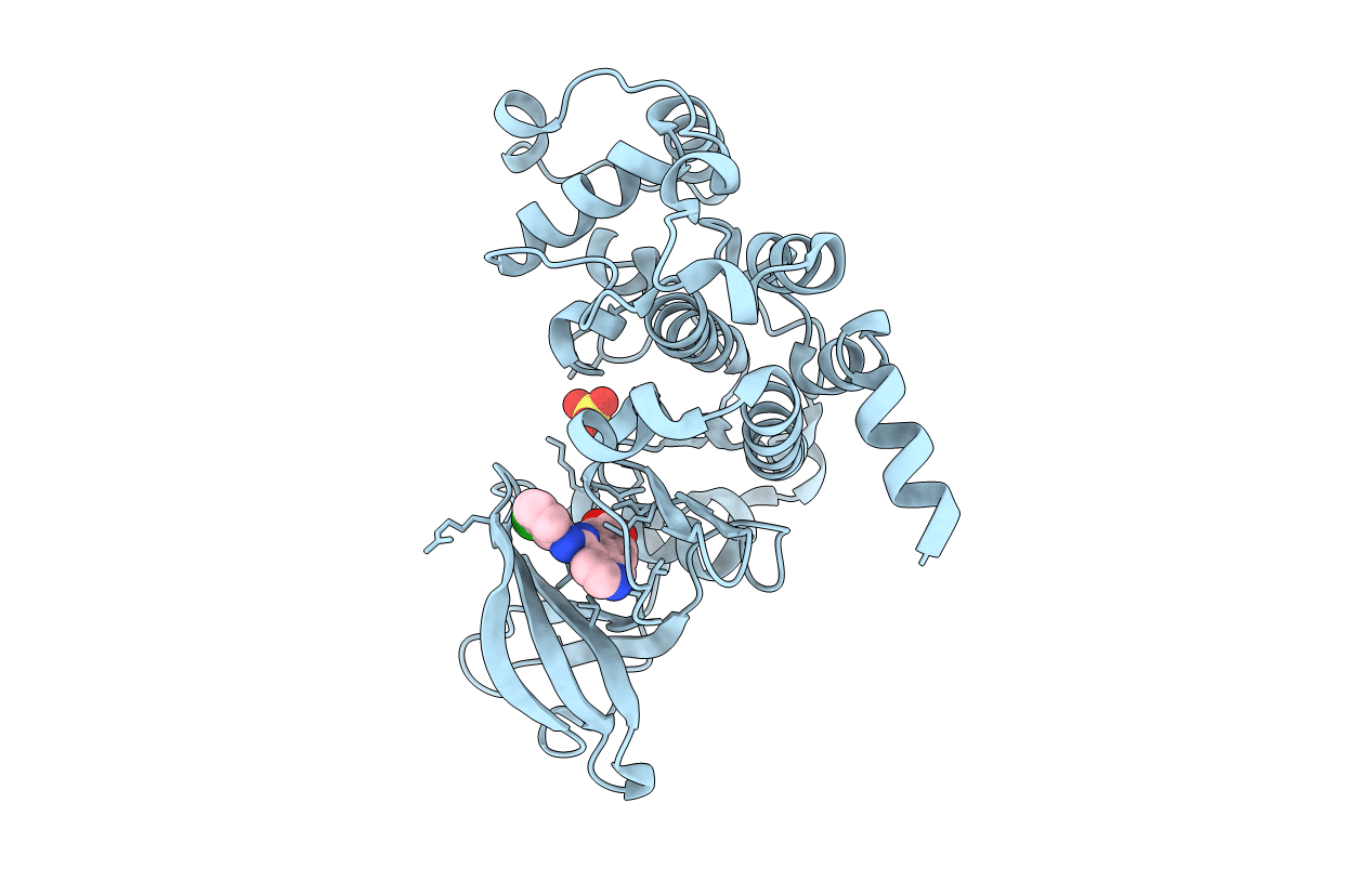 6K3L image