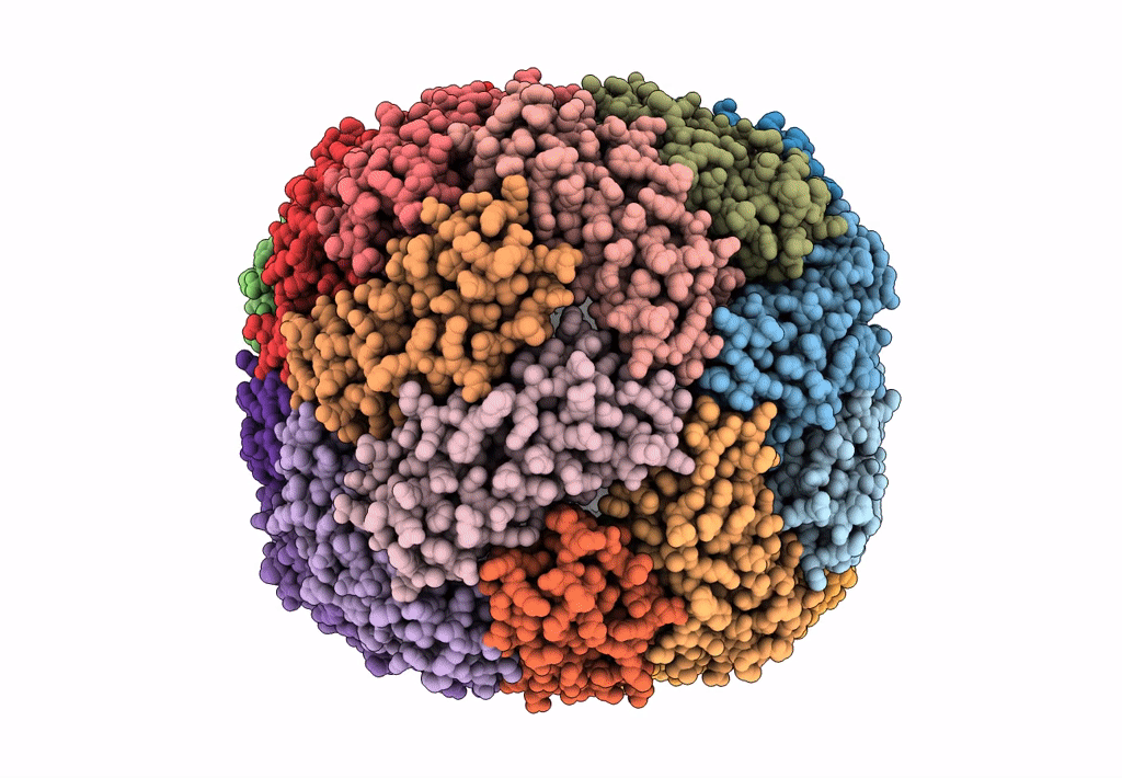 6K43 image