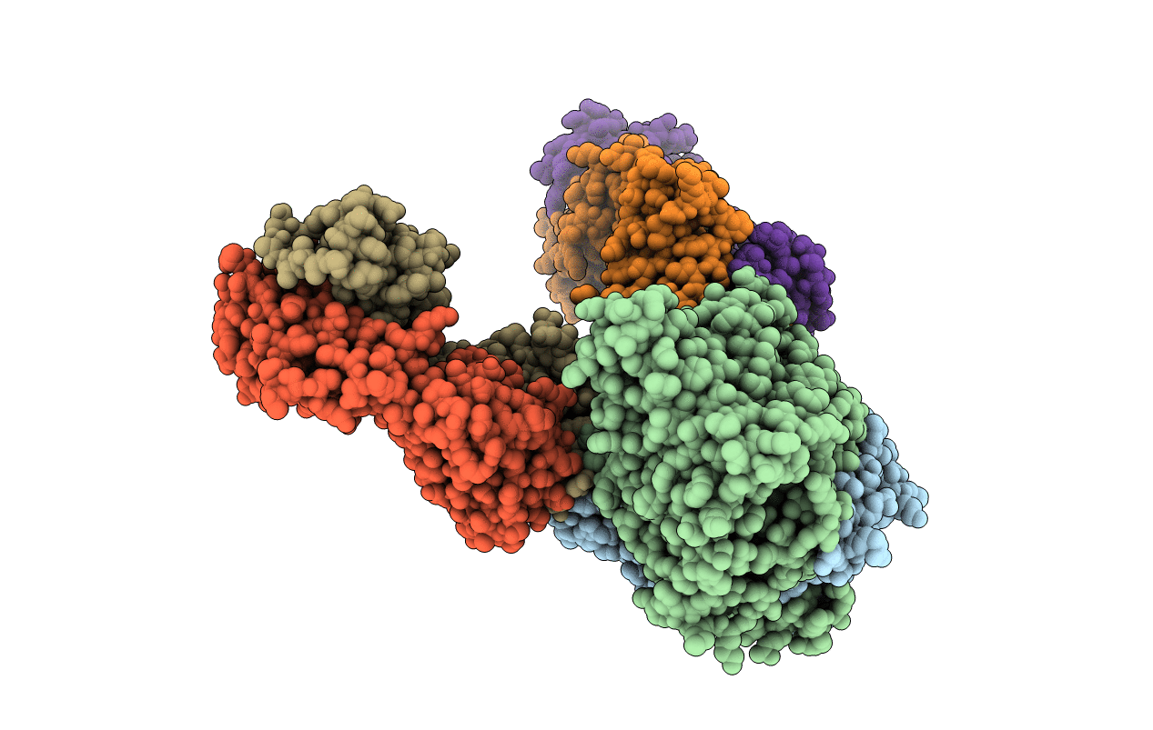 6K5A image