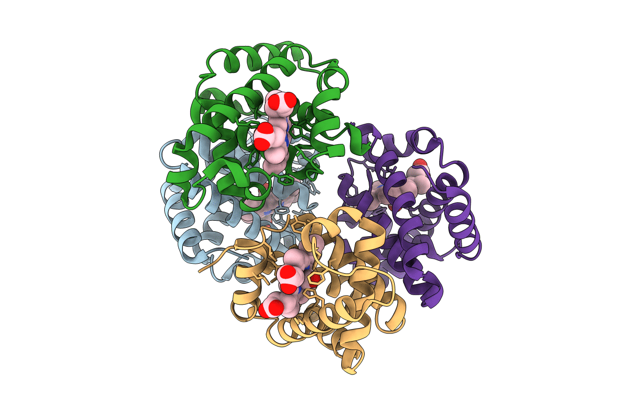 6KAV image