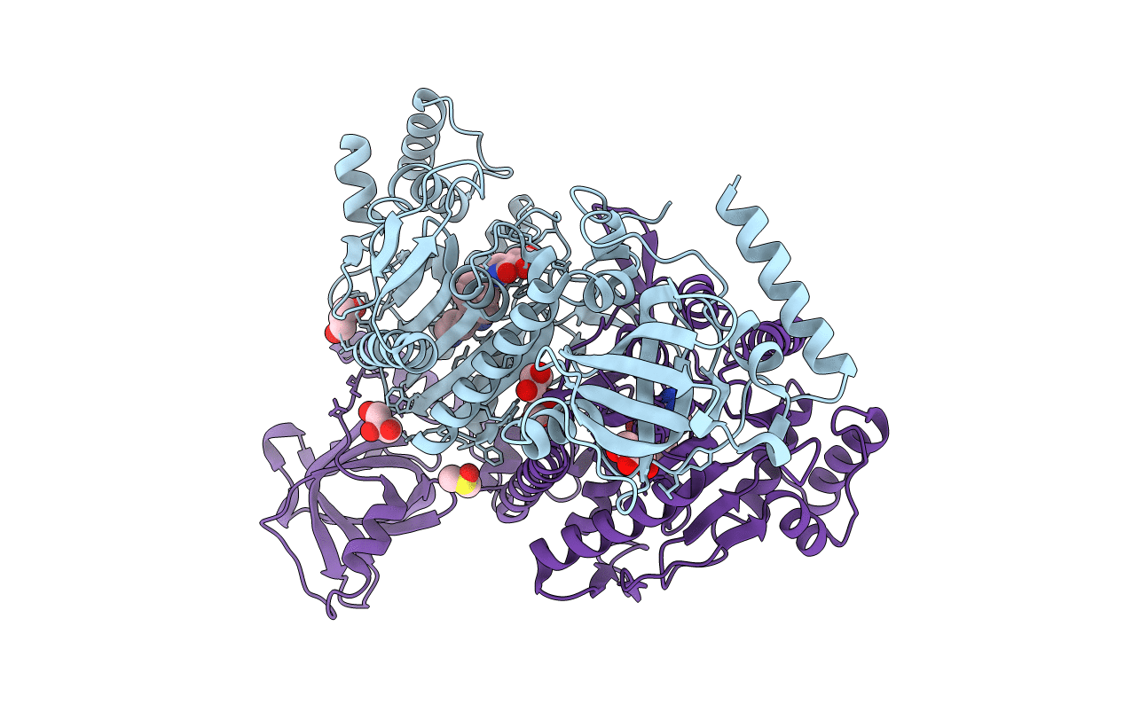 6KBF image