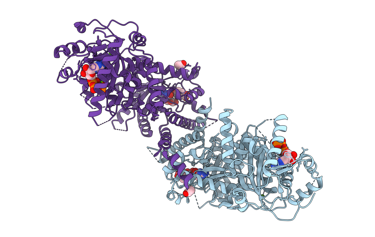 6KCL image