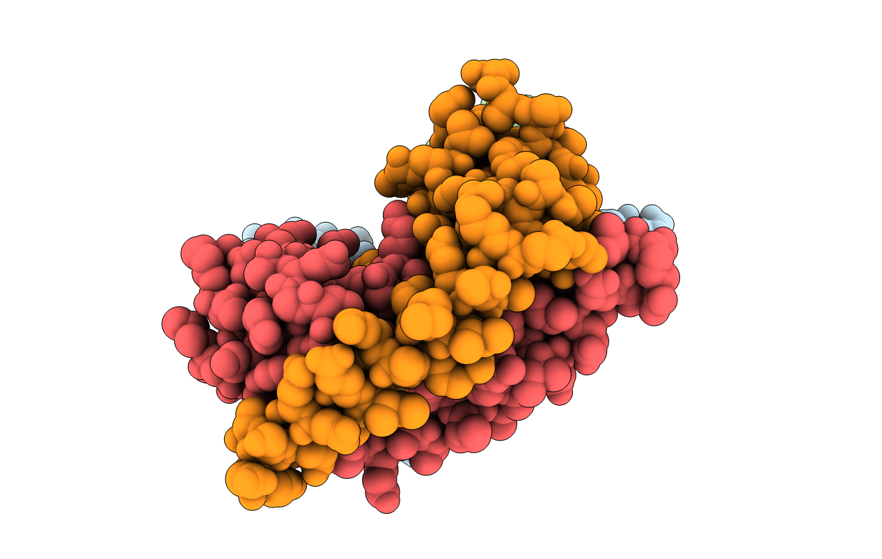 6KCP image