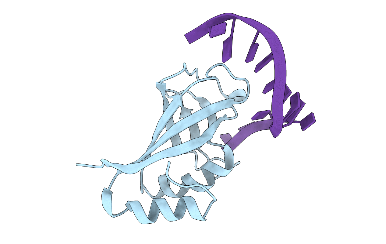 6KCS image