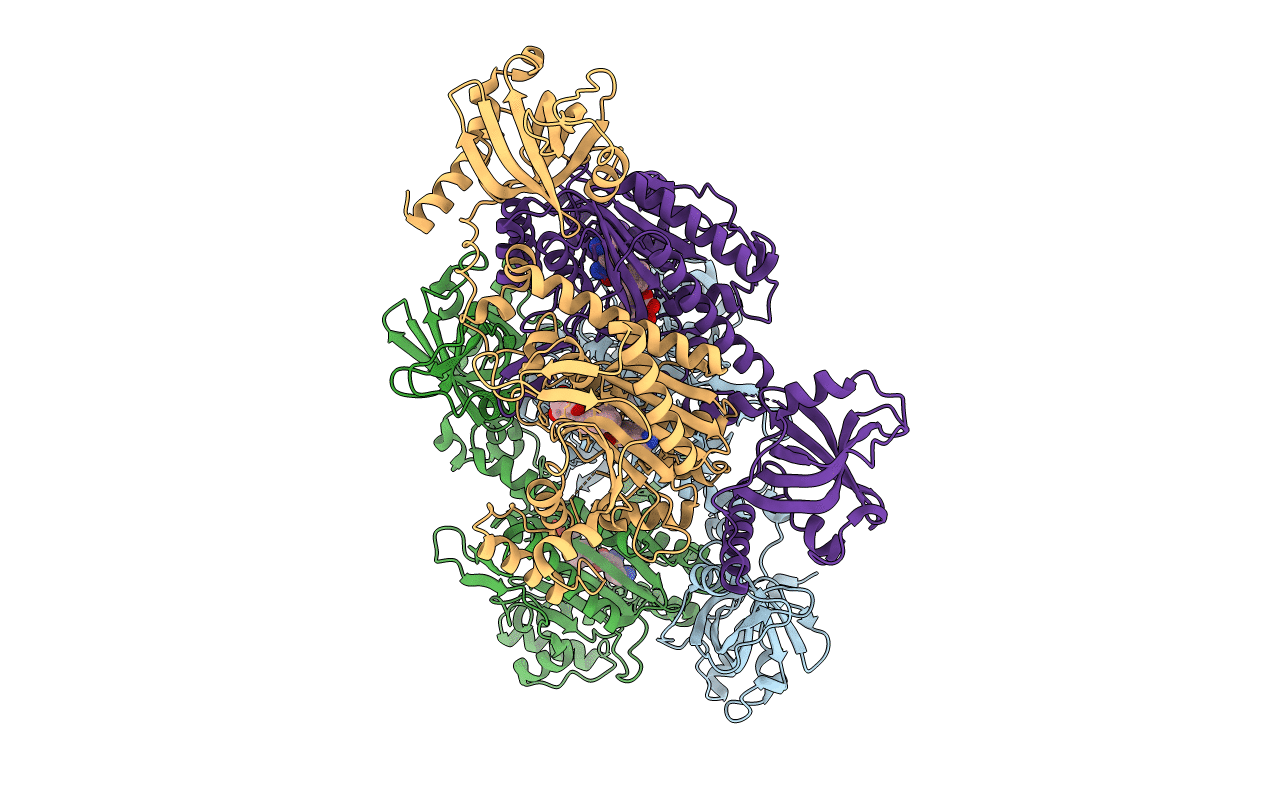 6KCT image
