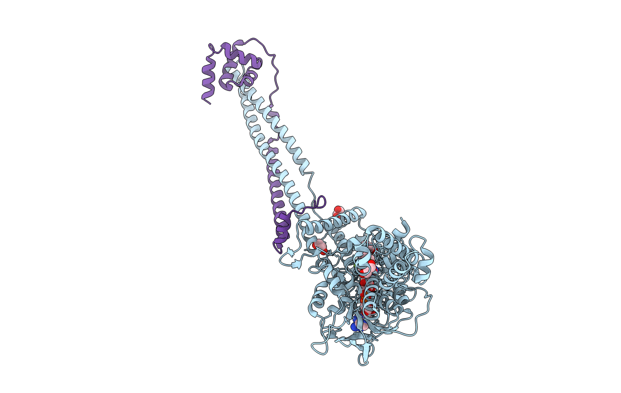 6KGM image