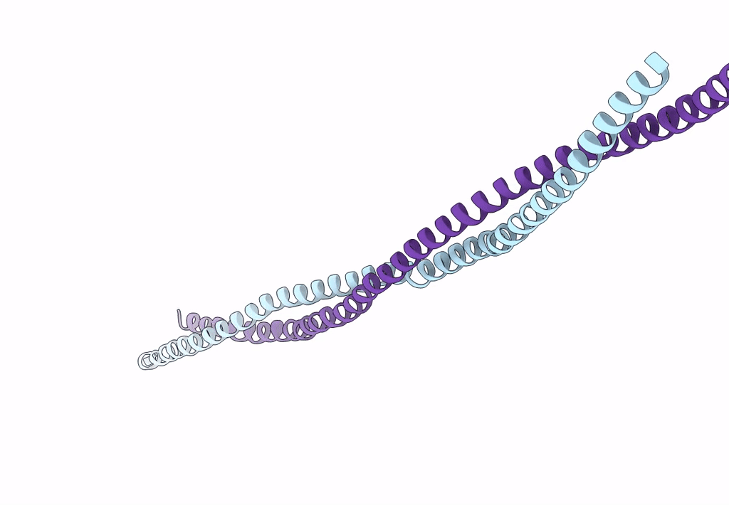 6KLQ image