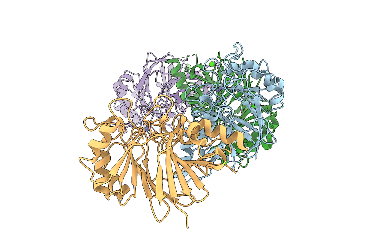 6KNS image