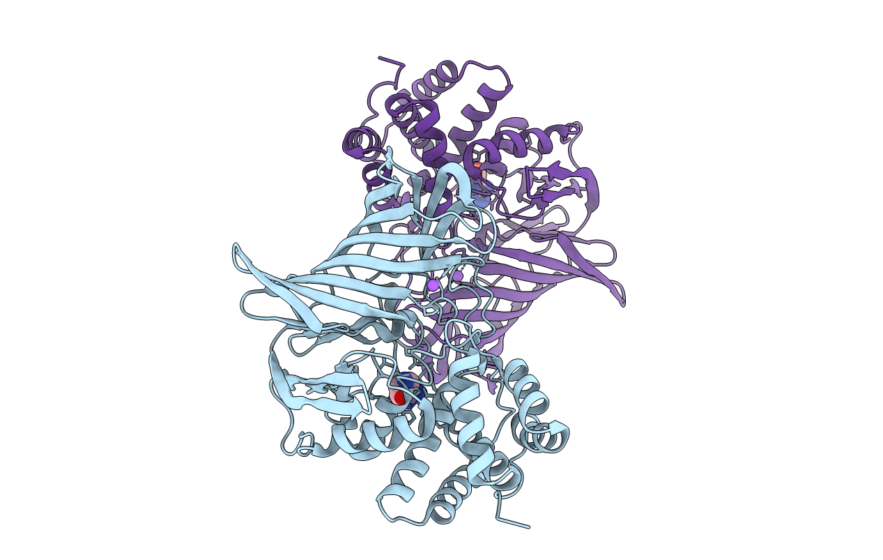 6KP0 image