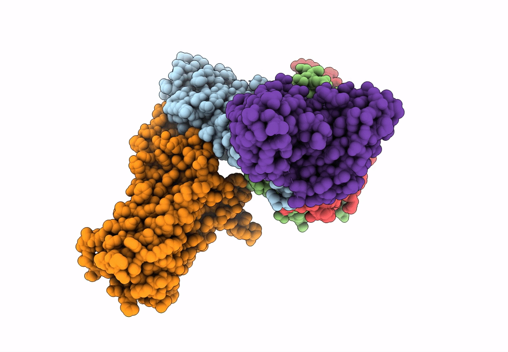 6KPF image