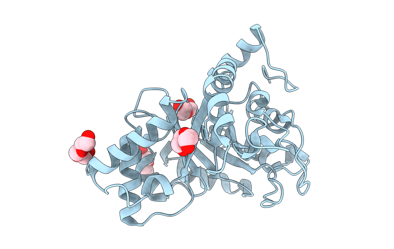 6KPL image