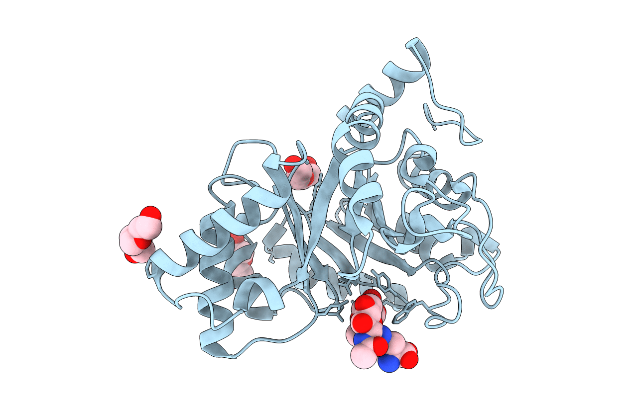 6KPO image