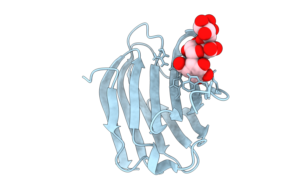 6KXB image
