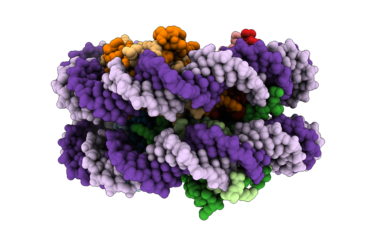 6KXV image