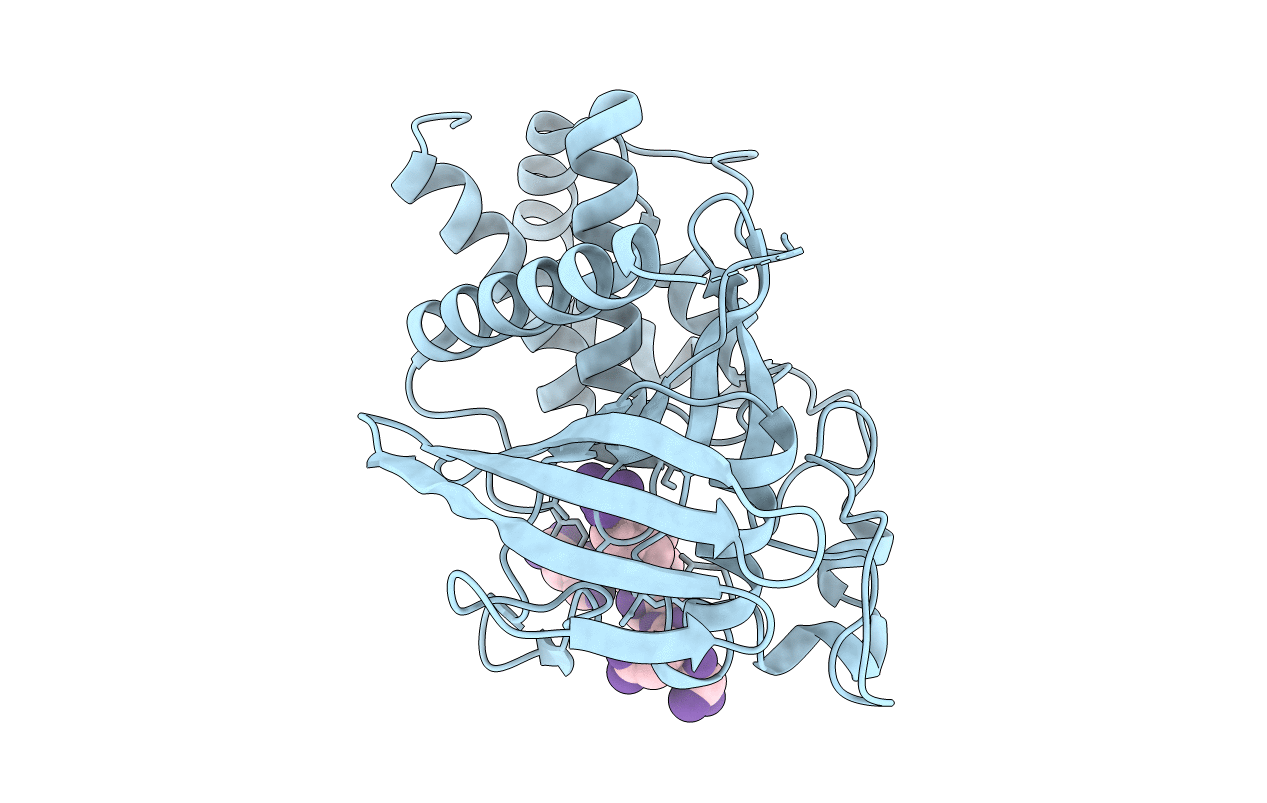 6L03 image
