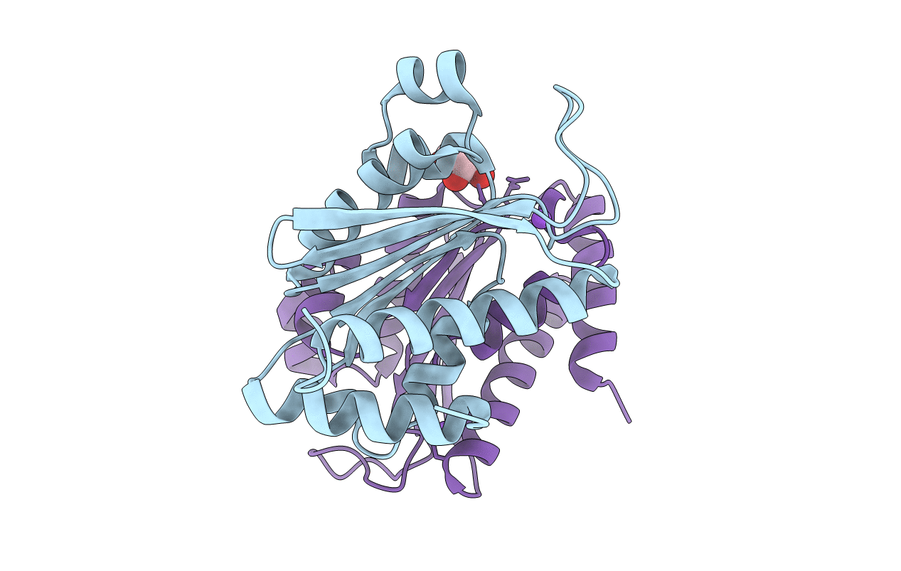 6L19 image