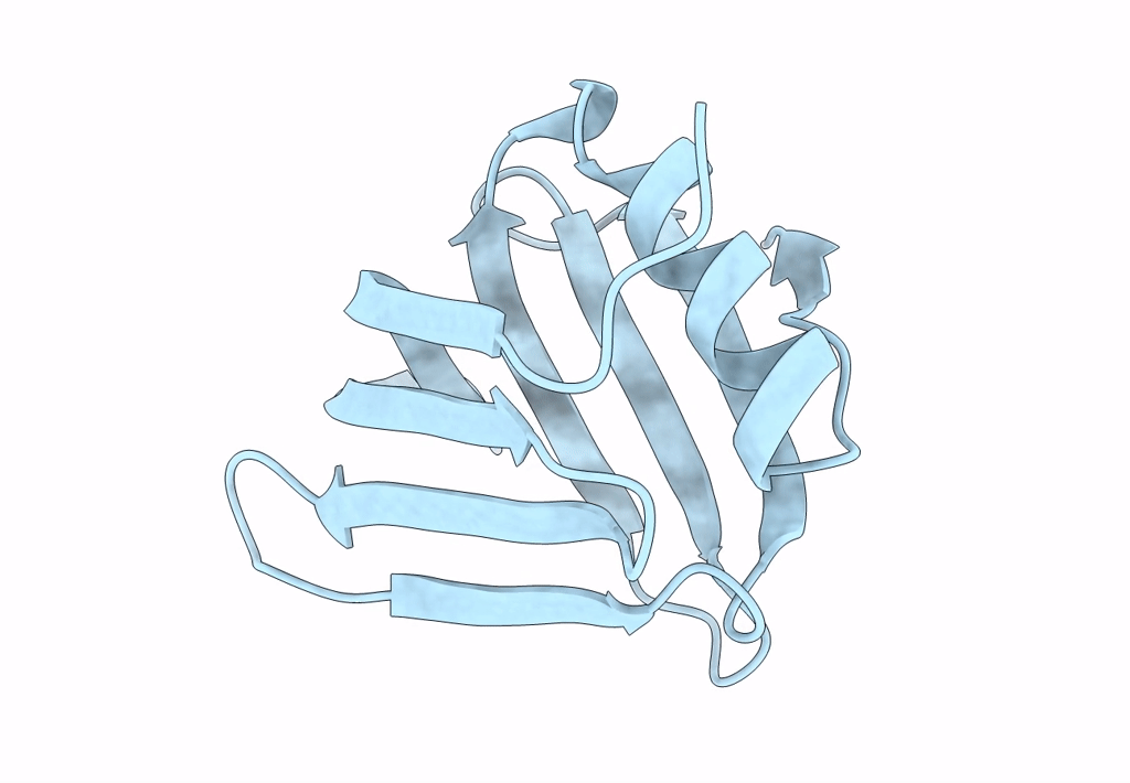 6L1R image