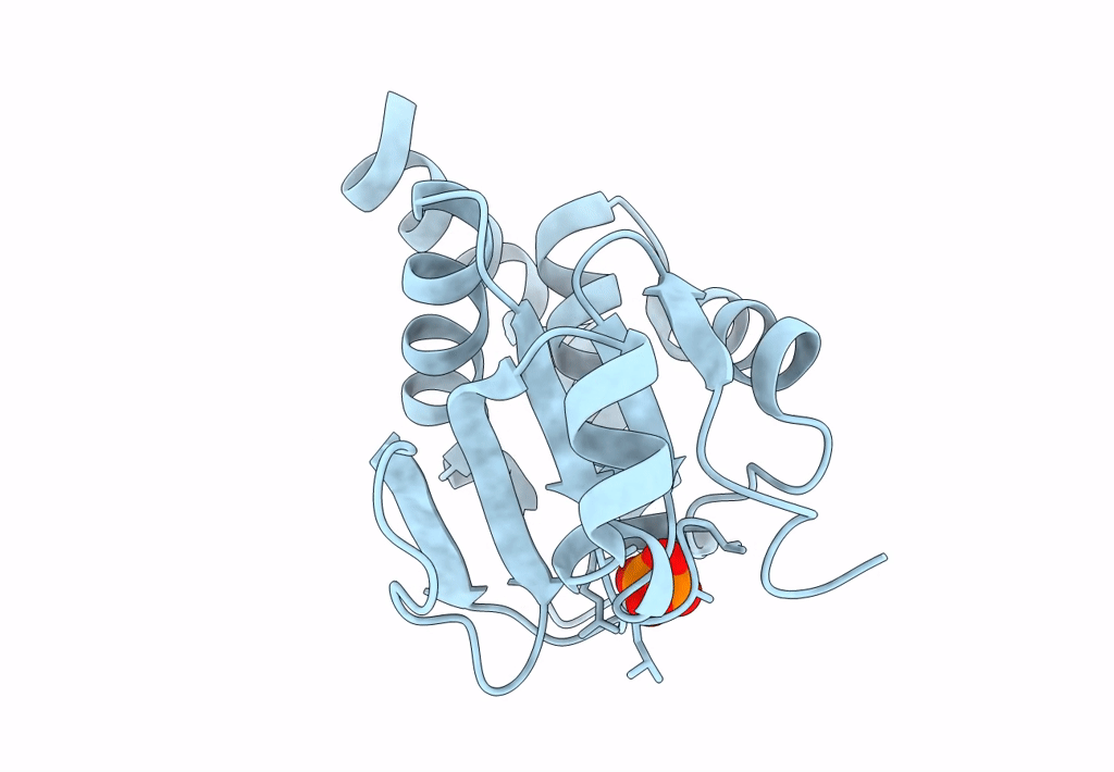 6L1S image