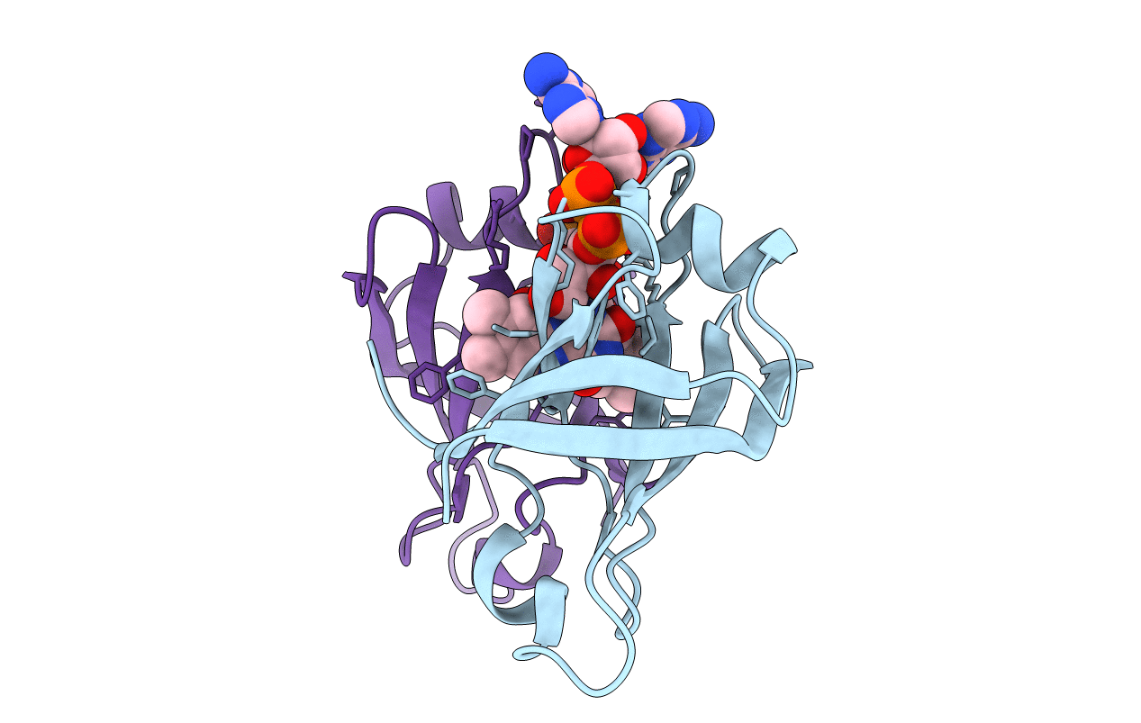 6L2U image